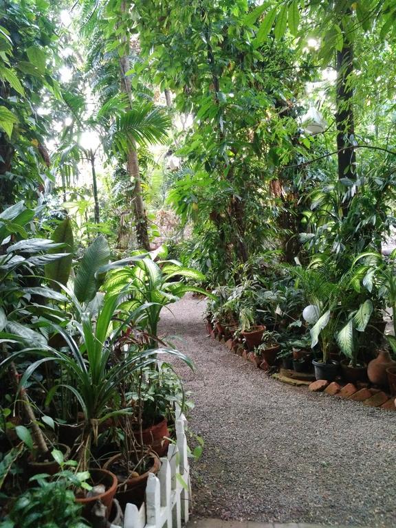 Green Woods Bethlehem Kochi 外观 照片
