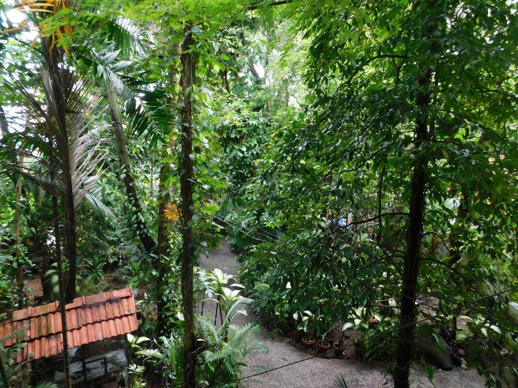 Green Woods Bethlehem Kochi 外观 照片