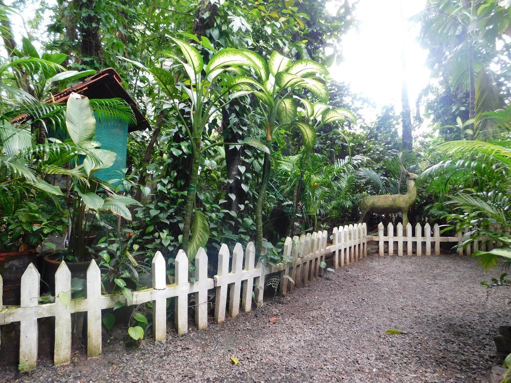 Green Woods Bethlehem Kochi 外观 照片
