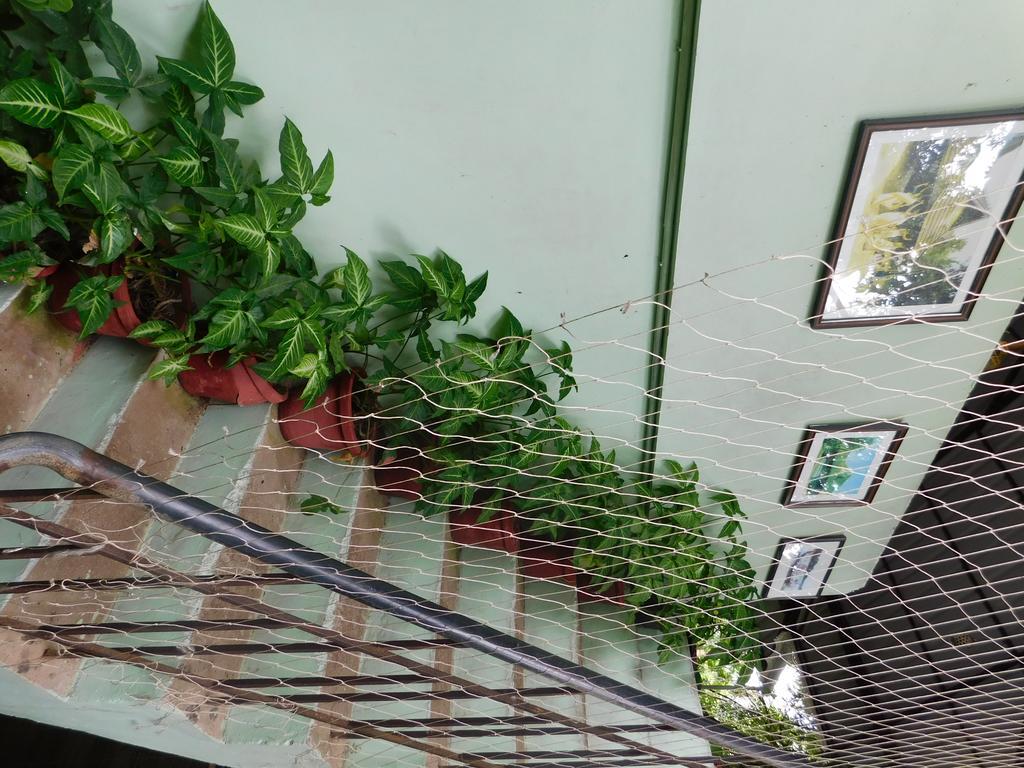 Green Woods Bethlehem Kochi 外观 照片